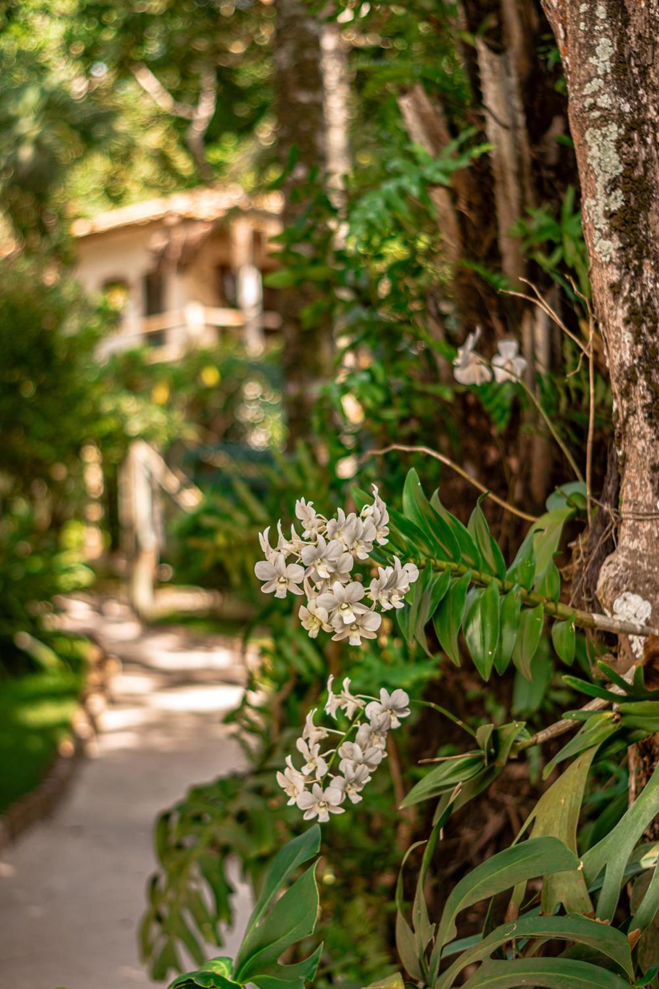 Hotel Boutique Bahia Bonita Транкозу Экстерьер фото